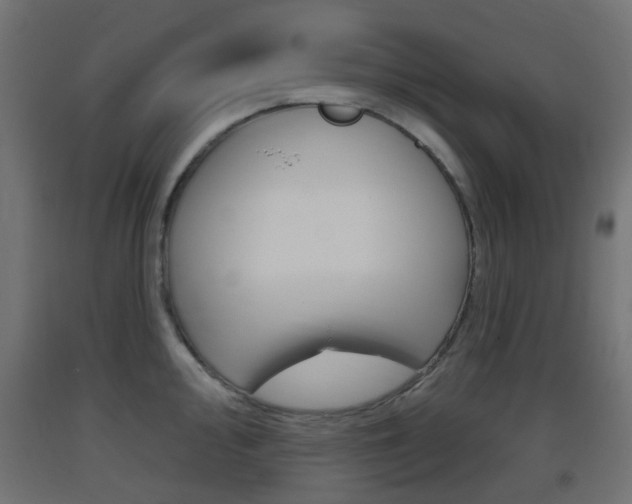 X0000093401000200710120852
