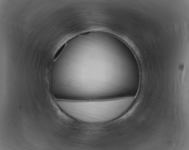 X0000093401001200710120852