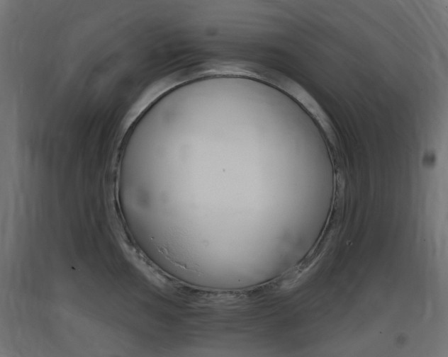 X0000093401002200710120852