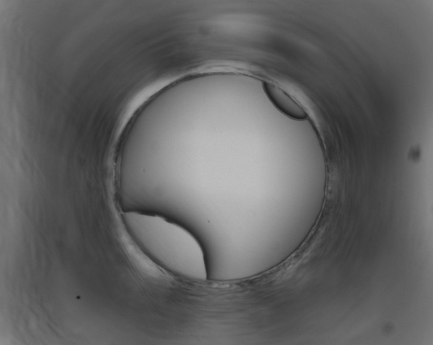 X0000093401003200710120852