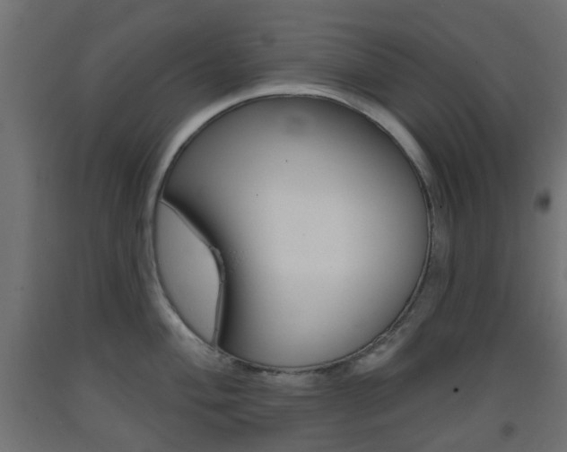 X0000093401004200710120852