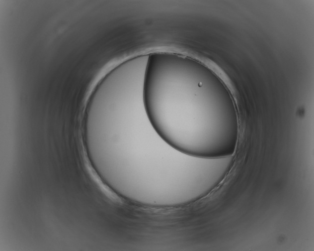 X0000093401005200710120852
