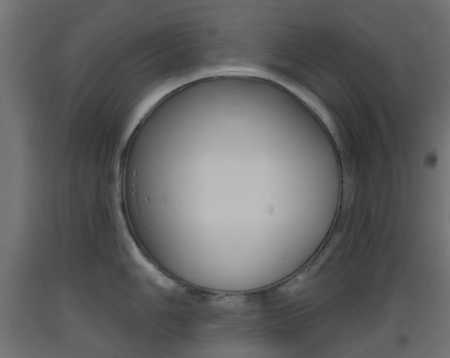 X0000093401006200710120852