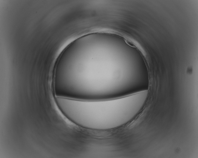X0000093401007200710120852