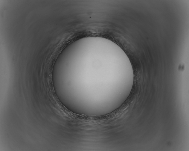 X0000093401009200710120851