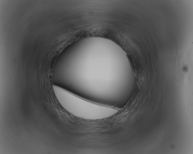 X0000093401010200710120851