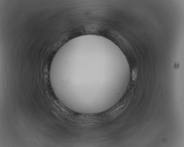 X0000093401011200710120851