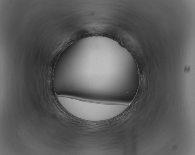 X0000093401012200710120851