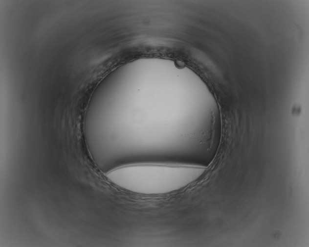 X0000093401013200710120851