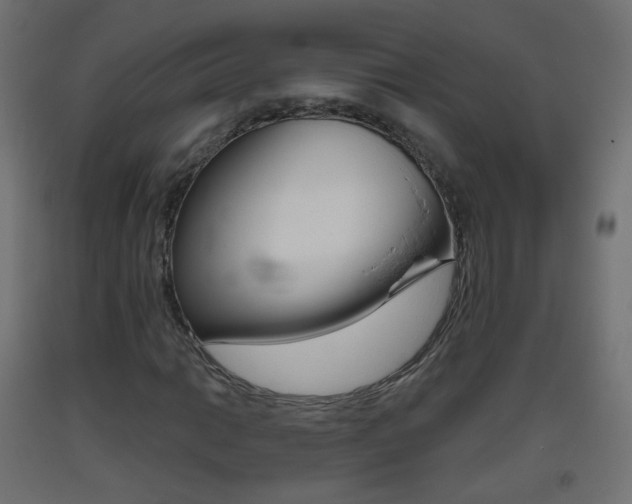 X0000093401014200710120851