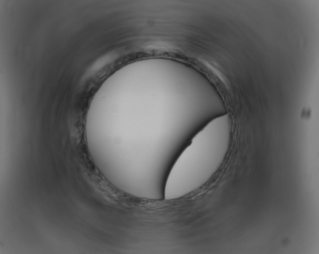 X0000093401015200710120851