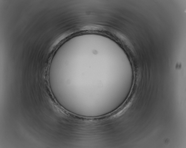 X0000093401017200710120851