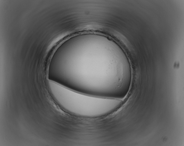 X0000093401018200710120851
