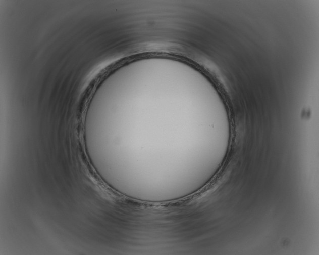 X0000093401019200710120851
