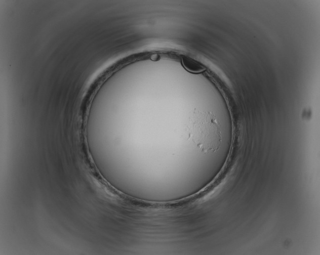 X0000093401021200710120852