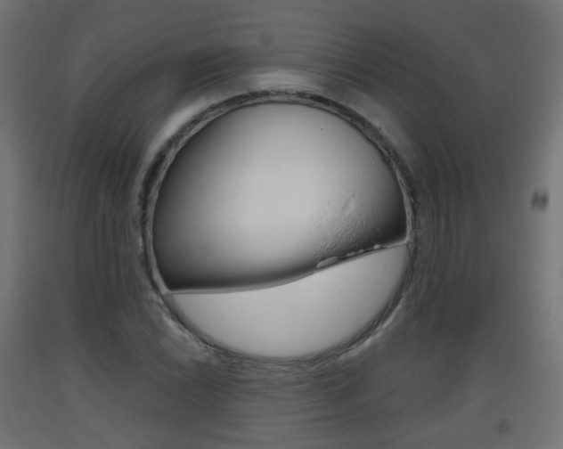 X0000093401022200710120852