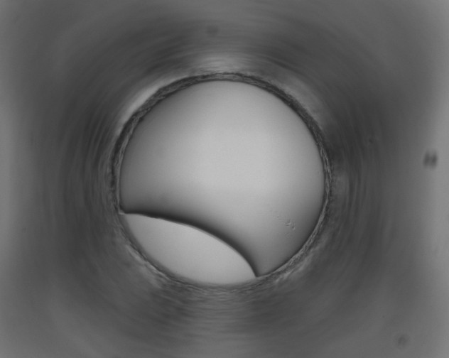 X0000093401023200710120852
