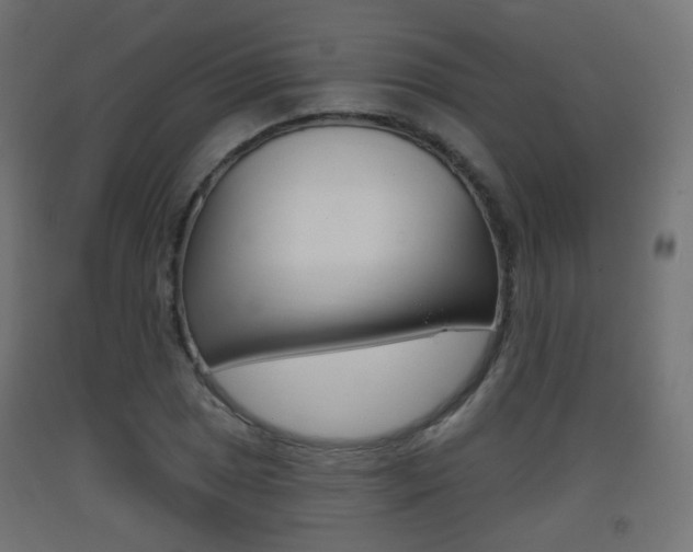 X0000093401025200710120852