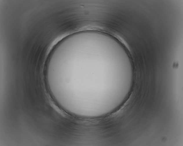 X0000093401026200710120852