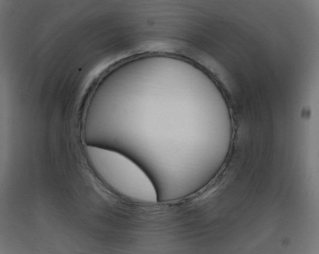 X0000093401027200710120852