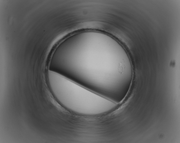 X0000093401029200710120852