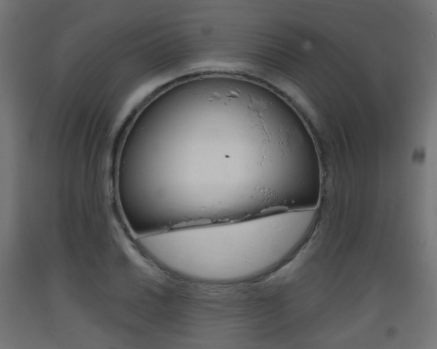 X0000093401030200710120852