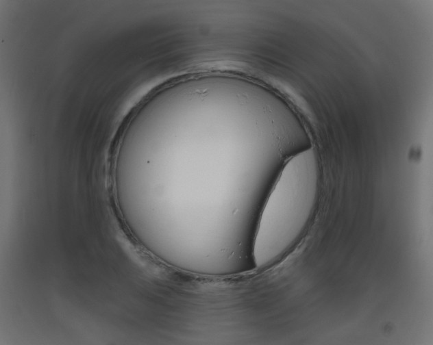 X0000093401031200710120852