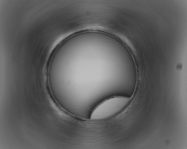 X0000093401032200710120852