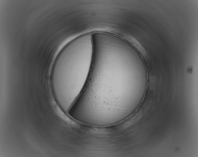 X0000093401036200710120852