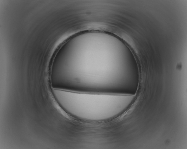 X0000093401037200710120852