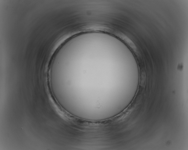 X0000093401039200710120852
