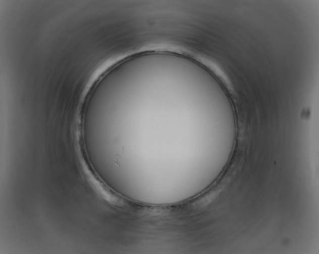 X0000093401040200710120852