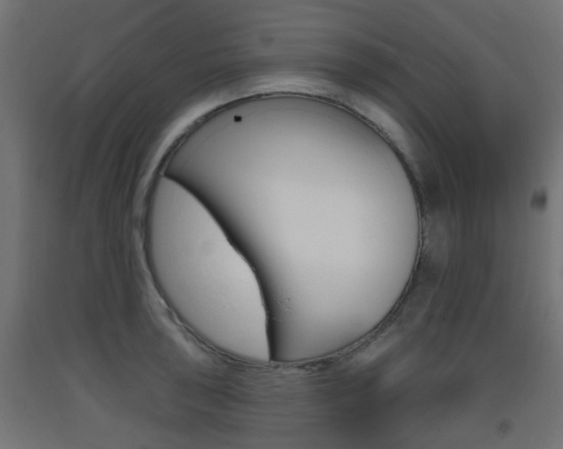 X0000093401043200710120852