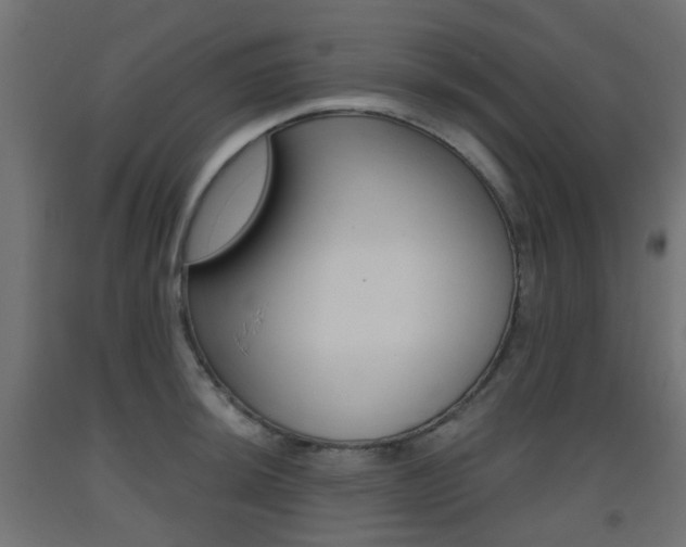X0000093401044200710120852