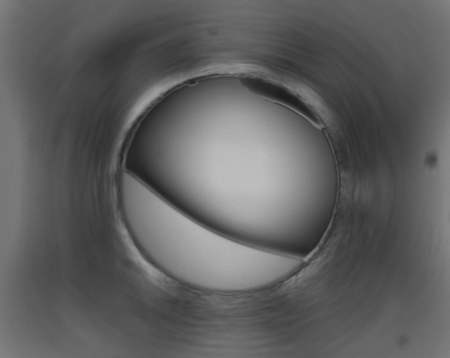 X0000093401046200710120852