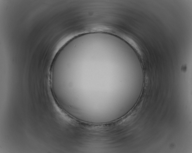 X0000093401047200710120852