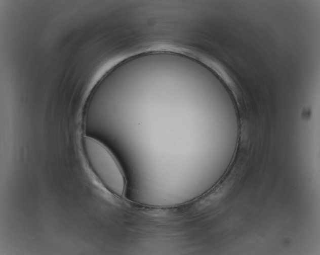 X0000093401048200710120852