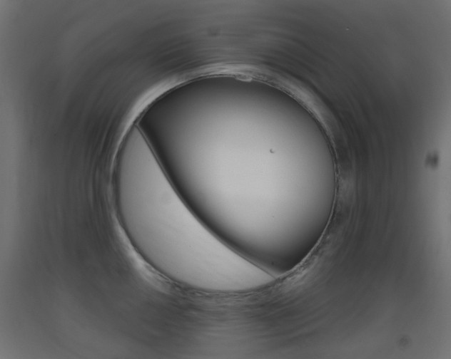 X0000093401050200710120852