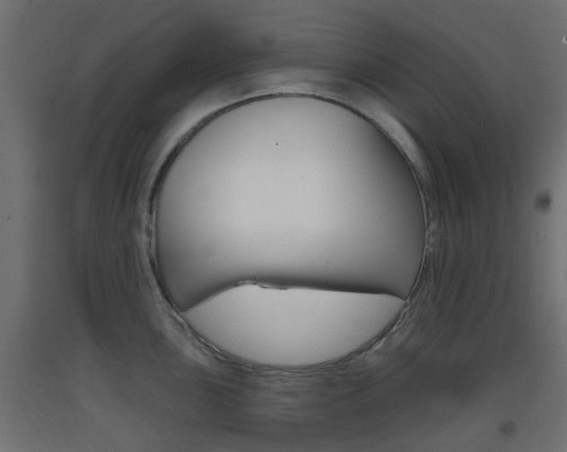 X0000093401051200710120852