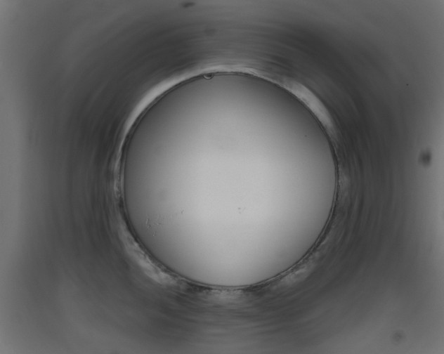X0000093401052200710120852