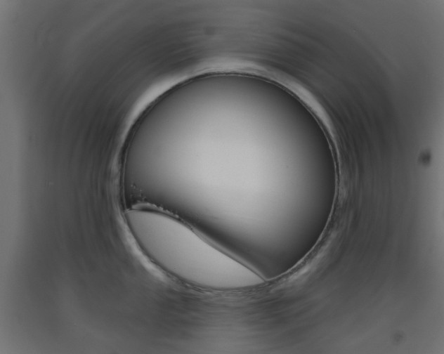 X0000093401053200710120852