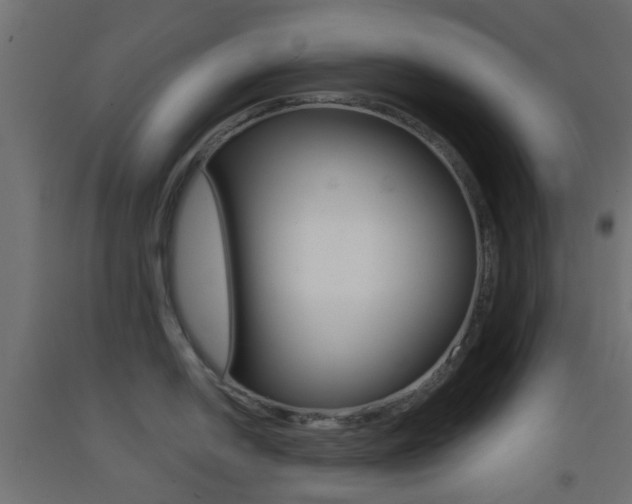 X0000093401054200710120852