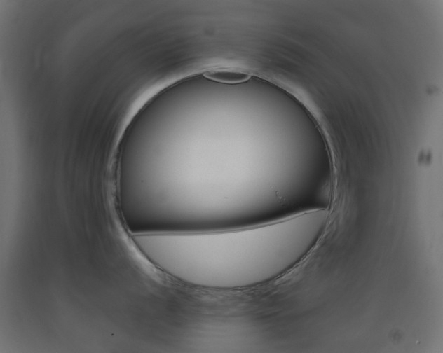 X0000093401056200710120852