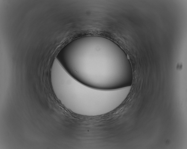 X0000093401057200710120851