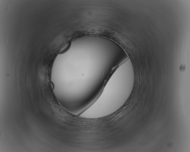 X0000093401058200710120851