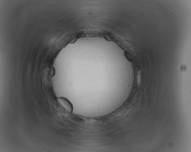 X0000093401059200710120851