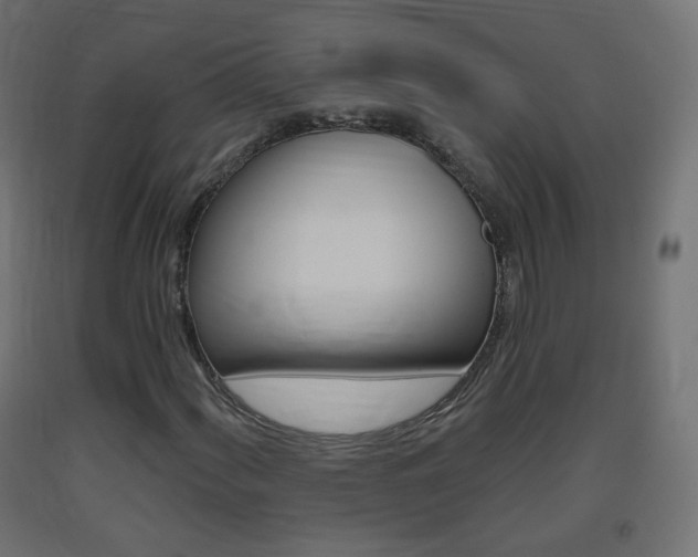 X0000093401060200710120851