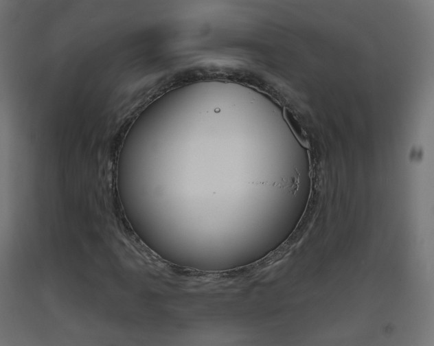 X0000093401061200710120851