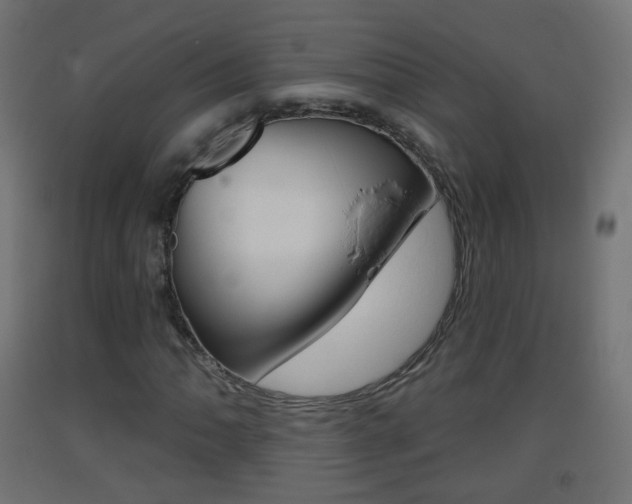 X0000093401062200710120851