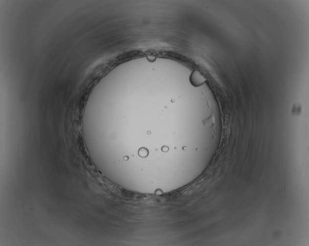 X0000093401063200710120851